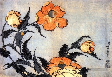  ukiyoe - coquelicots Katsushika Hokusai ukiyoe